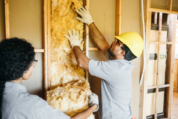 Best Insulation Repair Services  in Boyertown, PA